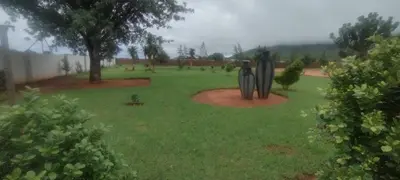 a garden with two statues in the grass at Marula Tree Lodge in Moletlane