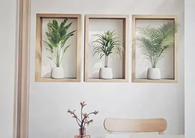 three picture frames with plants in them on a wall at Rural Villa Guesthouse in Naledi
