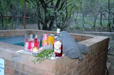 a bottle of alcohol and drinks on a ledge next to a pool at At Kruger's Heartbeat in Marloth Park