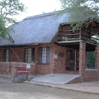 At Kruger's Heartbeat