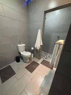 a bathroom with a toilet and a shower at Nettle Nest Accommodation in Polokwane
