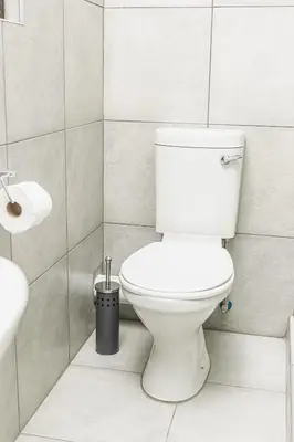 a white bathroom with a toilet and a sink at Mahlakwena Crown Crest in Steelpoort