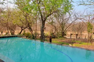 a large blue swimming pool with trees in the background at Namagong in Marloth Park