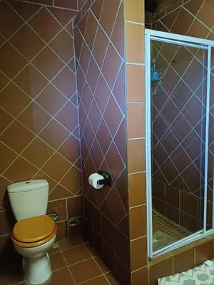 a bathroom with a toilet and a glass shower at The loft farmhouse in Roodeplaat area in Wallmannstal