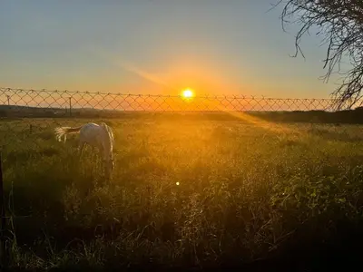 a person standing in a field near a fence at sunset at The loft farmhouse in Roodeplaat area in Wallmannstal