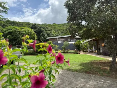 a house with pink flowers in the yard at Nelspruit Modern Apartment #2 - Self Check-In in Nelspruit