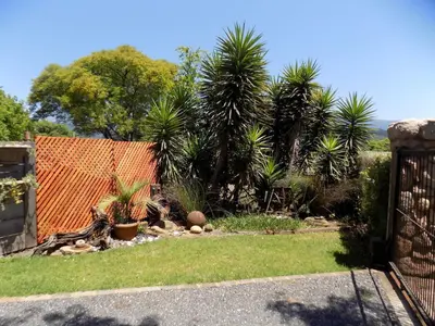 a garden with palm trees and a fence at KINGFISHER BLUE on Milkwood in Sabie