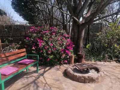 a green bench sitting next to a bush of pink flowers at KINGFISHER BLUE on Milkwood in Sabie