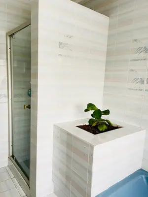 a bathroom with a shower and a potted plant at Chatsvilla in Boksburg