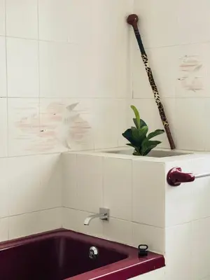 a bathroom with a tub and a plant on the wall at Chatsvilla in Boksburg
