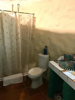 a bathroom with a toilet and a shower curtain at ilyn pottery cottage in Pretoria
