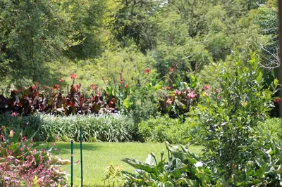 a garden with a bunch of flowers and plants at ilyn pottery cottage in Pretoria