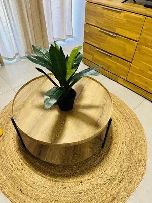 a wooden table with a potted plant on top of it at Homely Stay 3 in Kempton Park