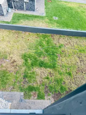 an aerial view of a yard with green grass at Homely Stay 3 in Kempton Park