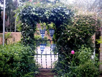 Gallery image of Autumn Breeze Manor Guest House in Graskop
