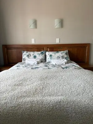 a large bed with two pillows on top of it at Oewerpark Landgoed Accommodation in Pretoria