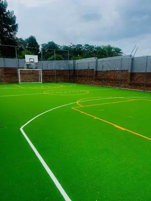 a green court with a basketball hoop on it at Dimension in Midrand