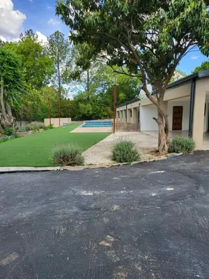 a building with a tree and a swimming pool at Limewood 2 in Sandton