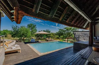 a swimming pool on a wooden deck next to a house at Bongela Private Game Lodge in Vaalwater
