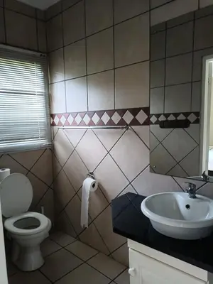 a bathroom with a toilet and a sink at Riverside Lodge - Loerie in Cobalt
