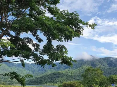 a tree with a view of a mountain at Batuka Damview Lodge in Tshakhuma