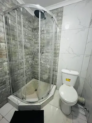 a bathroom with a shower and a toilet at Mohwelere Guest House in Pretoria