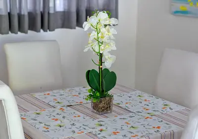 a white flower in a pot on a table at The Golden Place in Kempton Park