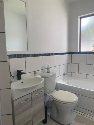 a bathroom with a toilet and a sink and a tub at Charming Hideaway in Sandton