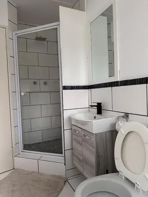 a bathroom with a toilet and a sink and a shower at Charming Hideaway in Sandton