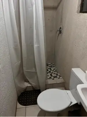 a bathroom with a shower with a toilet and a sink at Begin Guesthouse in Ermelo
