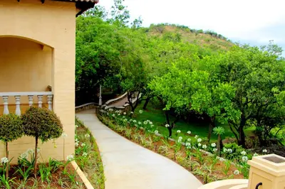 a walkway leading to a garden with white flowers at La Villa Spa in Nelspruit