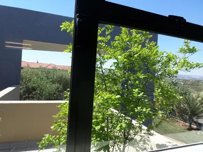 a window with a view of a tree at The Links Guest House in Pretoria