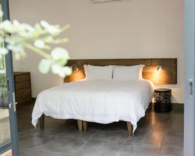 a bedroom with a bed with a white comforter at Ziziphus River Lodge in Hectorspruit