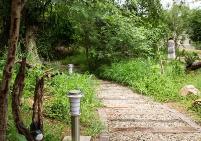 a stone path in a park with a street light at Ziziphus River Lodge in Hectorspruit