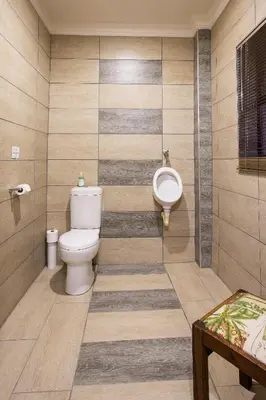 a bathroom with a toilet and a bidet at The Royal Palm B&B in Ohrigstad