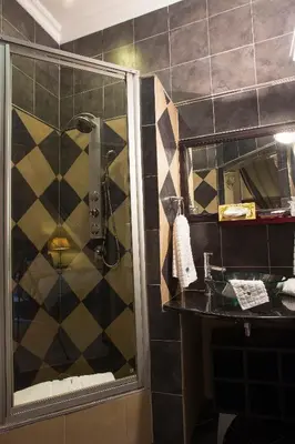 a bathroom with a shower and a sink at The Royal Palm B&B in Ohrigstad