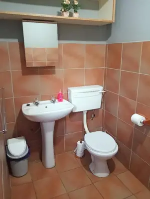a bathroom with a toilet and a sink at Harties Is Africa Safari Lodge in Hartbeespoort
