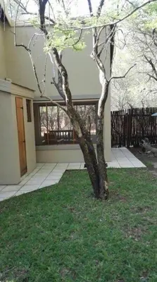 a tree in the grass in front of a house at Warthog Corner in Leeupoort