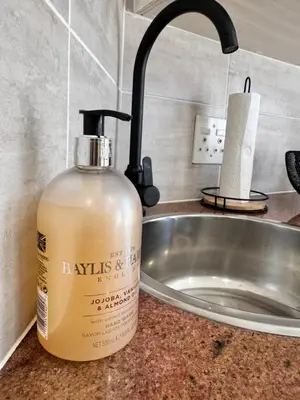 a bottle of laundry detergent sitting on a counter next to a sink at Cozy Suburban Escape in Benoni
