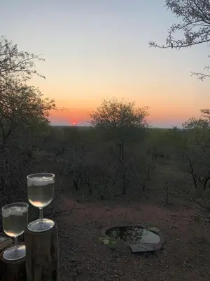 two glasses of wine sitting on a stump at sunset at Wabisabi the wild at your doorstep in Marloth Park