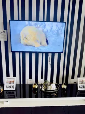 a polar bear in the water on a wall at Dimension 1 in Midrand
