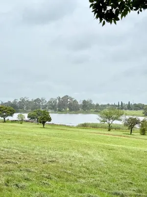 a field of grass with a lake in the background at Luxury Redefined Home in Middelburg