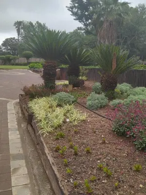 a garden with flowers and plants in a yard at The Adress Events Venue in Midrand