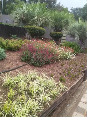 a garden with pink and white flowers and bushes at The Adress Events Venue in Midrand