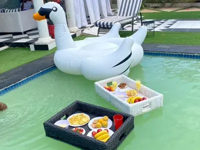 two swans in the water with a tray of food at Mementos Guesthouse in Ga-Mapogo