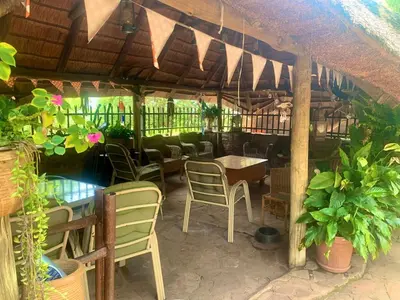 an outdoor restaurant with chairs and tables and plants at Hermit Hill in Broederstroom