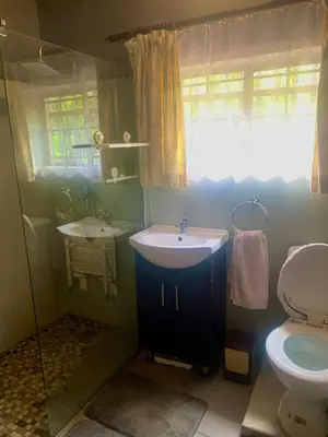 a bathroom with a sink and a toilet at Hermit Hill in Broederstroom