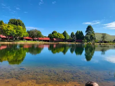a view of a lake with trees and houses at Lakeside 12 in Dullstroom