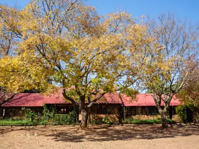 two trees in front of a building with a red roof at Lakeside 12 in Dullstroom