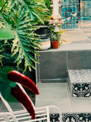 a chair in a garden with plants and a fountain at casa bella in Hartbeespoort